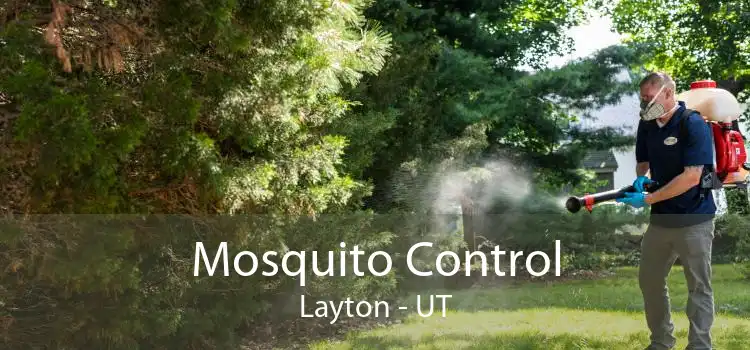 Mosquito Control Layton - UT