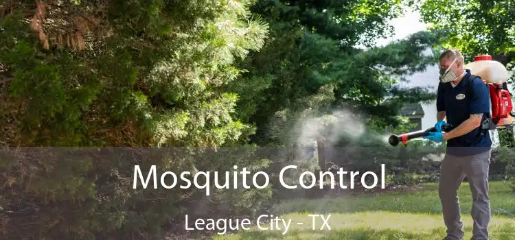  Mosquito Control League City - TX