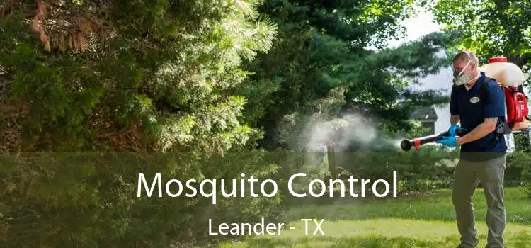  Mosquito Control Leander - TX