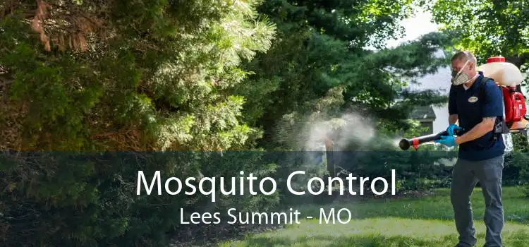 Mosquito Control Lees Summit - MO