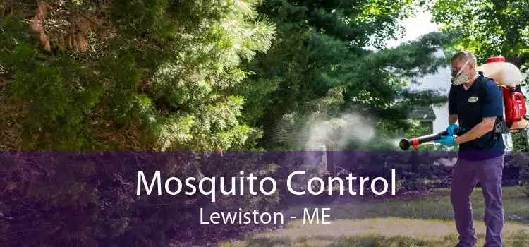 Mosquito Control Lewiston - ME