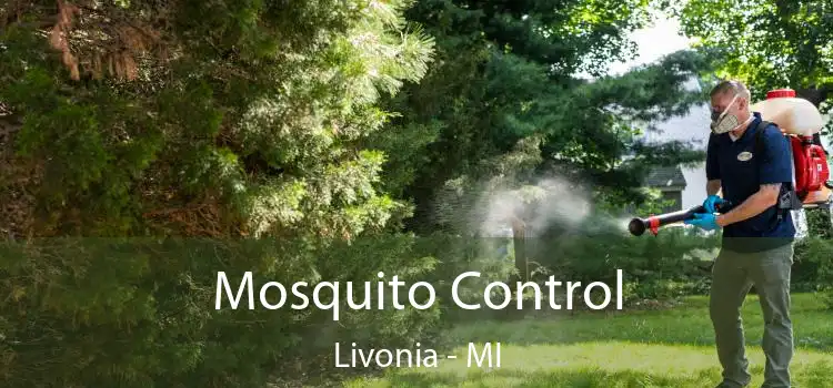  Mosquito Control Livonia - MI