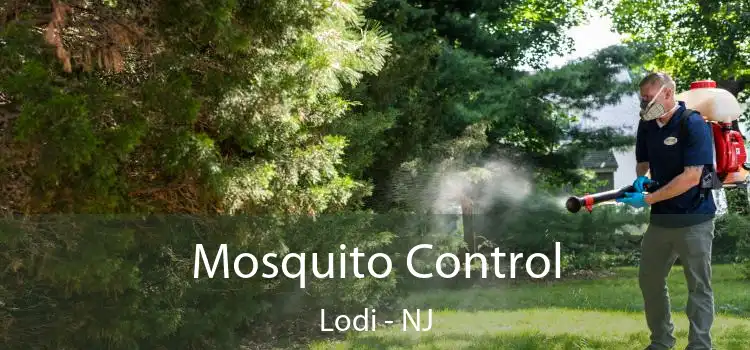  Mosquito Control Lodi - NJ