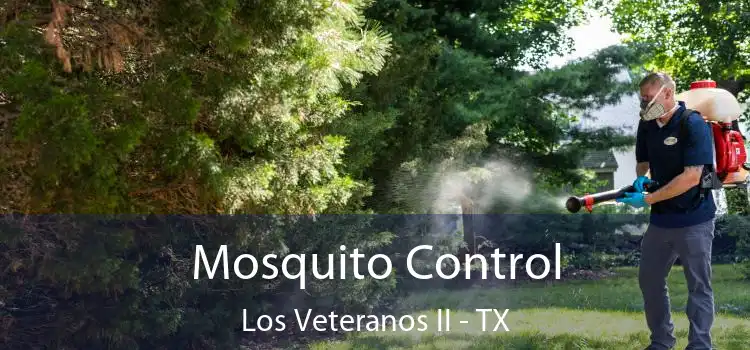  Mosquito Control Los Veteranos II - TX