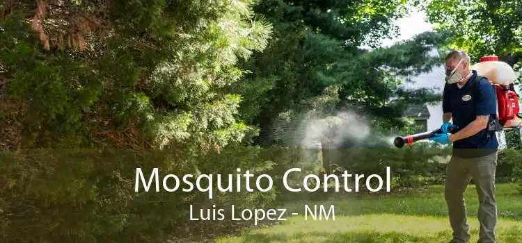 Mosquito Control Luis Lopez - NM