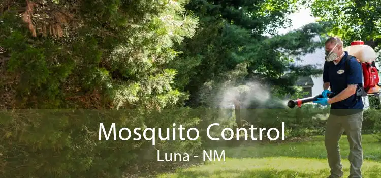 Mosquito Control Luna - NM