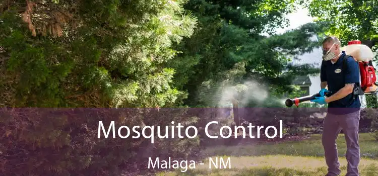  Mosquito Control Malaga - NM