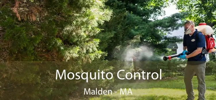  Mosquito Control Malden - MA