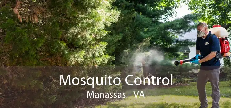 Mosquito Control Manassas - VA