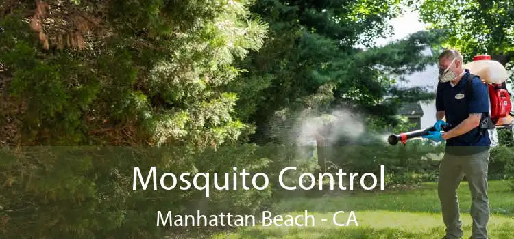  Mosquito Control Manhattan Beach - CA