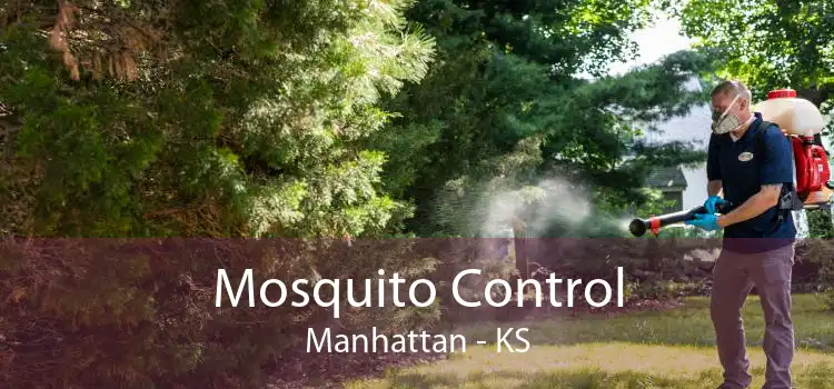 Mosquito Control Manhattan - KS