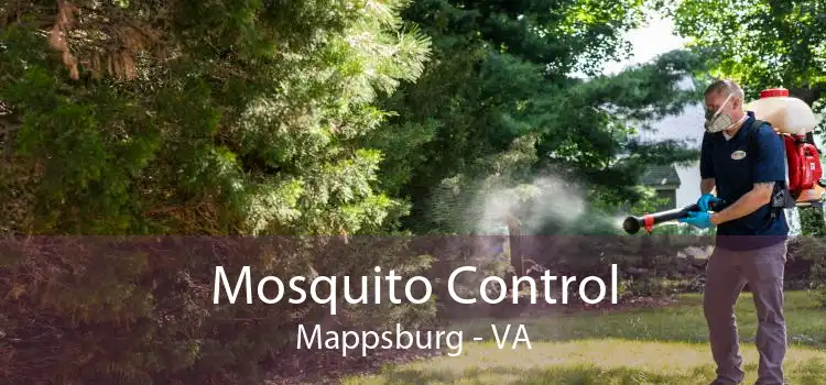 Mosquito Control Mappsburg - VA