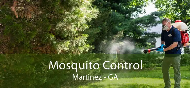 Mosquito Control Martinez - GA