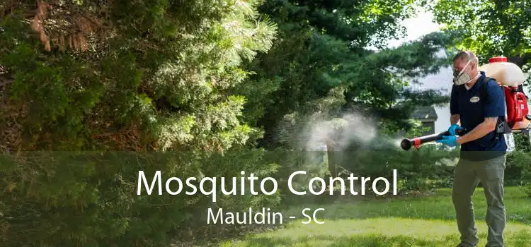 Mosquito Control Mauldin - SC