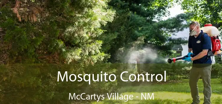 Mosquito Control McCartys Village - NM