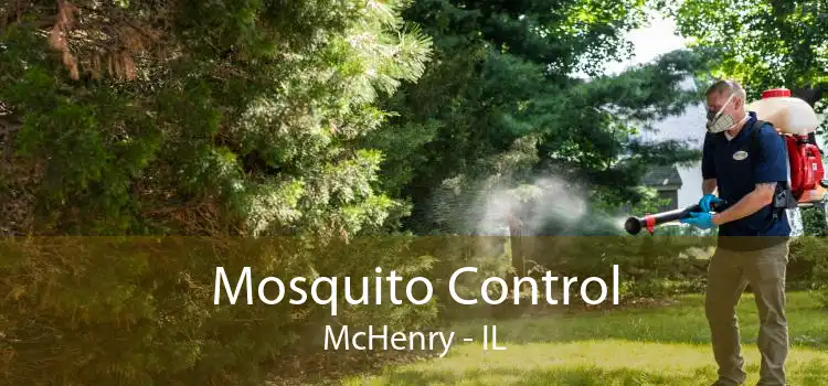Mosquito Control McHenry - IL
