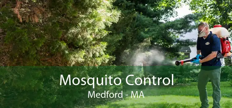 Mosquito Control Medford - MA