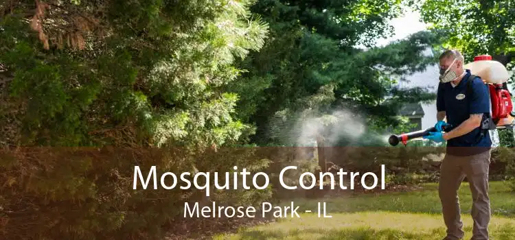 Mosquito Control Melrose Park - IL