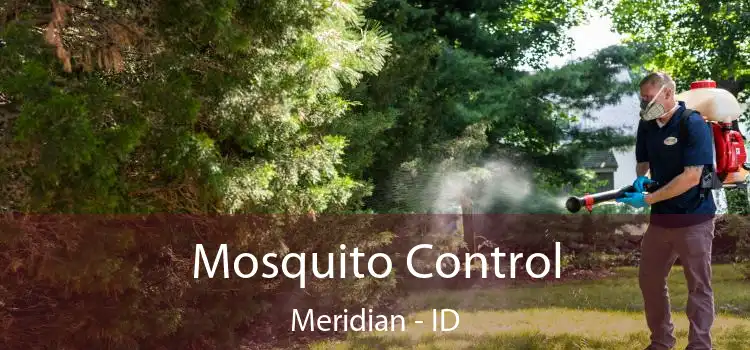  Mosquito Control Meridian - ID