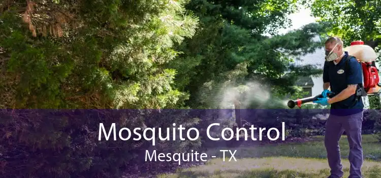 Mosquito Control Mesquite - TX