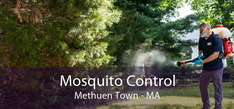Mosquito Control Methuen Town - MA