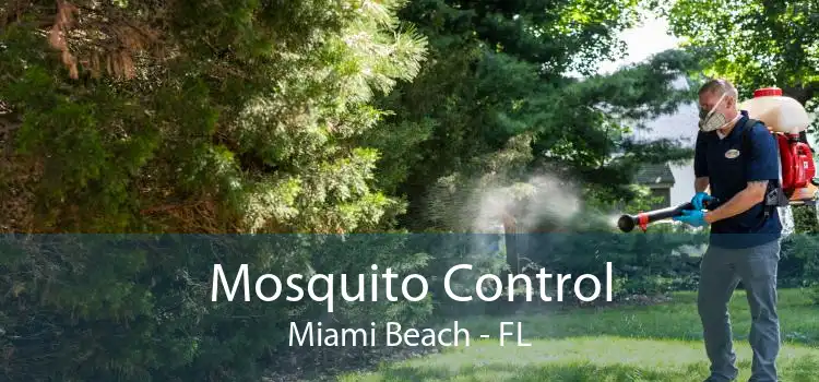 Mosquito Control Miami Beach - FL
