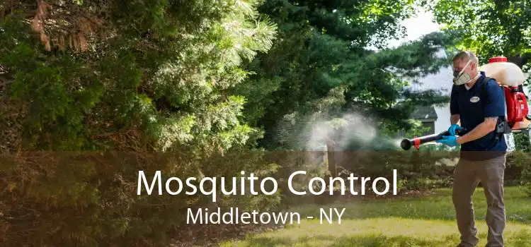 Mosquito Control Middletown - NY