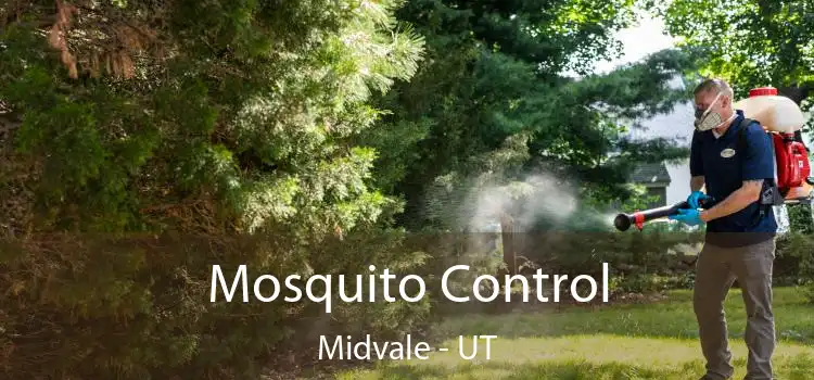  Mosquito Control Midvale - UT