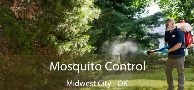  Mosquito Control Midwest City - OK
