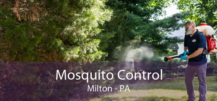 Mosquito Control Milton - PA