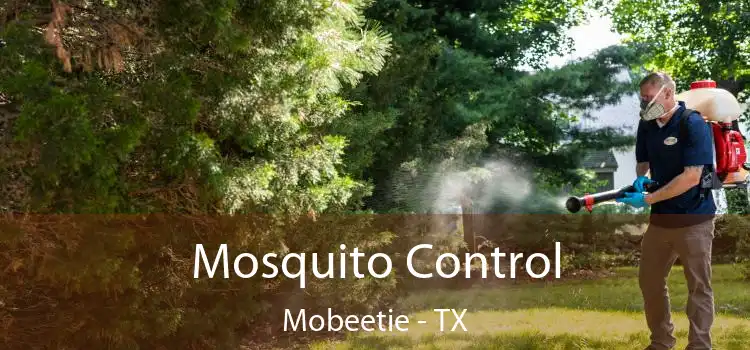 Mosquito Control Mobeetie - TX