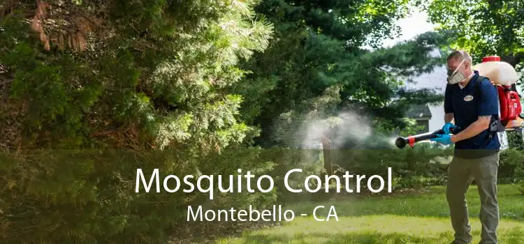 Mosquito Control Montebello - CA