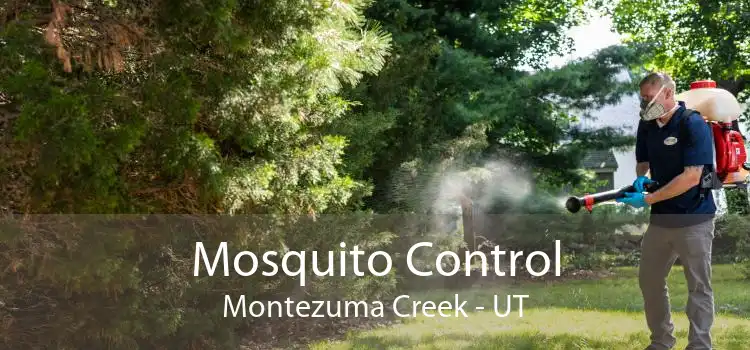 Mosquito Control Montezuma Creek - UT