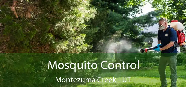  Mosquito Control Montezuma Creek - UT