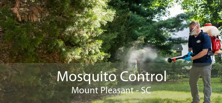 Mosquito Control Mount Pleasant - SC