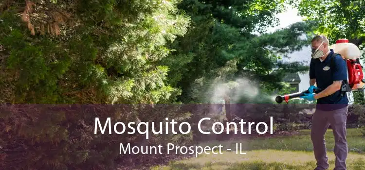Mosquito Control Mount Prospect - IL