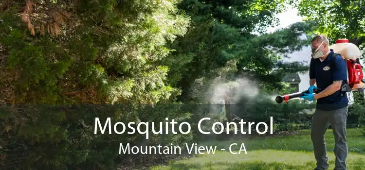 Mosquito Control Mountain View - CA