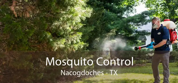 Mosquito Control Nacogdoches - TX
