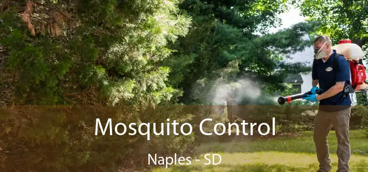  Mosquito Control Naples - SD
