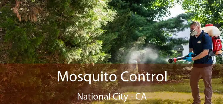  Mosquito Control National City - CA