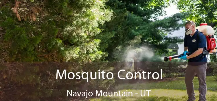  Mosquito Control Navajo Mountain - UT