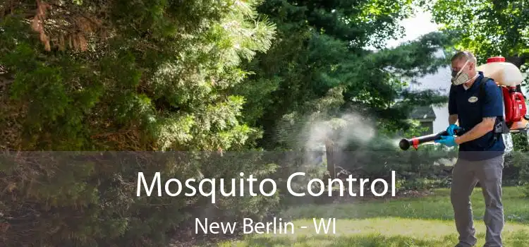  Mosquito Control New Berlin - WI