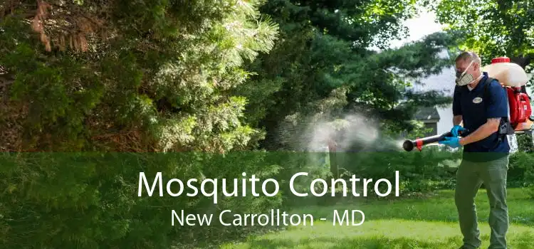 Mosquito Control New Carrollton - MD
