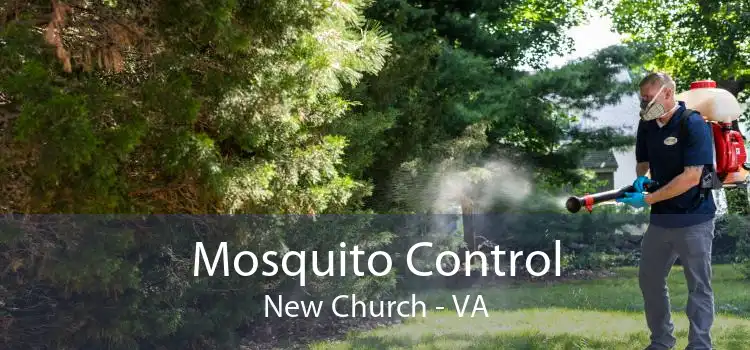 Mosquito Control New Church - VA