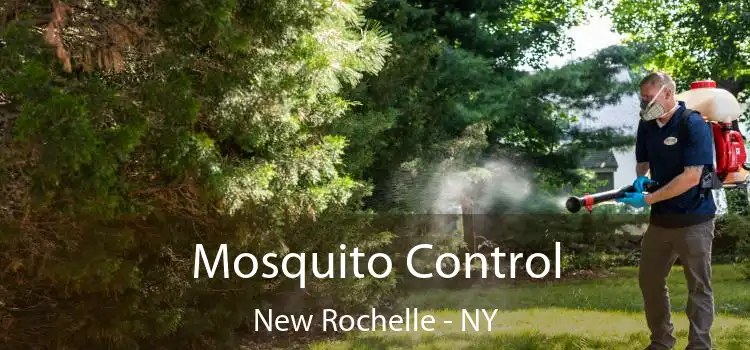  Mosquito Control New Rochelle - NY