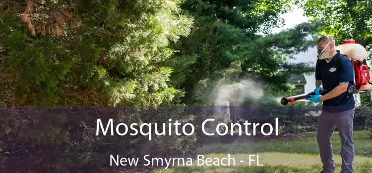  Mosquito Control New Smyrna Beach - FL