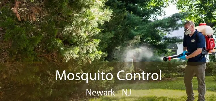 Mosquito Control Newark - NJ