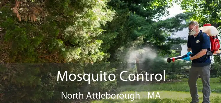  Mosquito Control North Attleborough - MA
