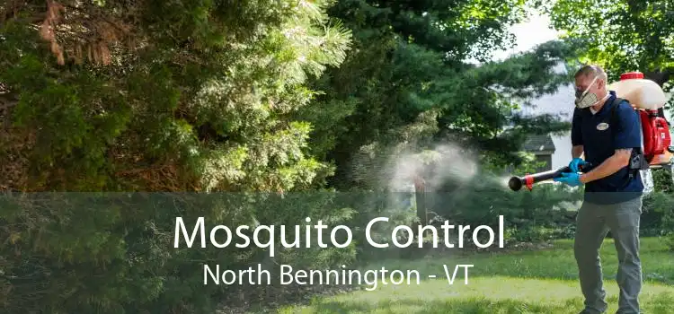 Mosquito Control North Bennington - VT
