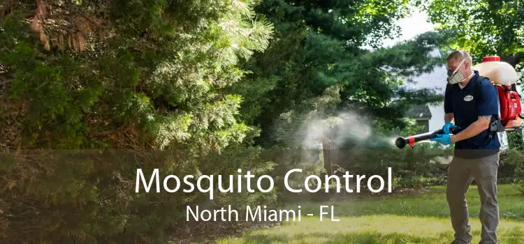 Mosquito Control North Miami - FL